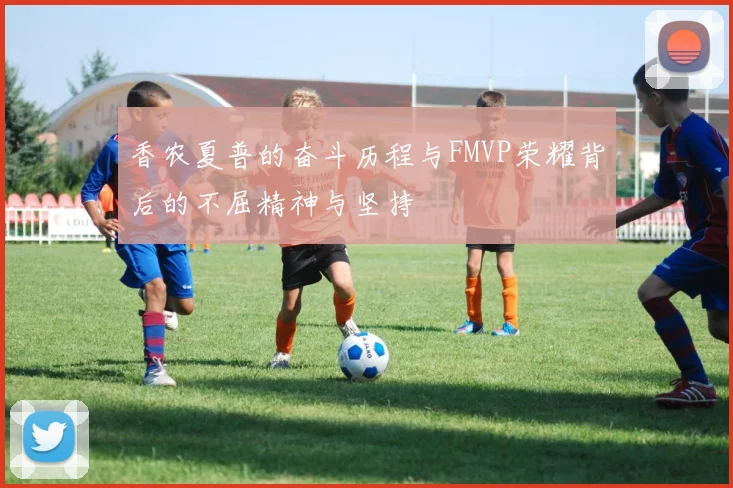 香农夏普的奋斗历程与FMVP荣耀背后的不屈精神与坚持