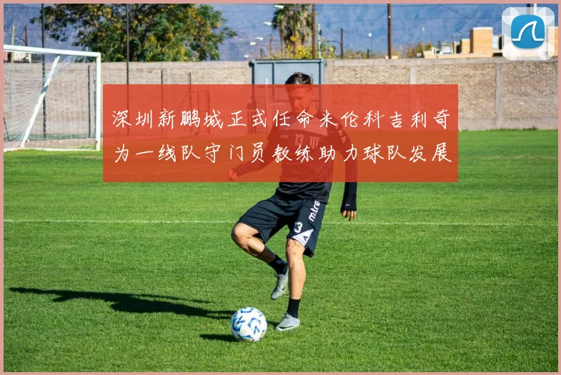 深圳新鹏城正式任命米伦科吉利奇为一线队守门员教练助力球队发展